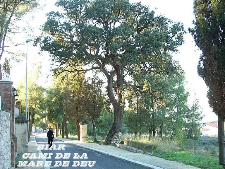 Santuario de Biar, una paseo, año 2003